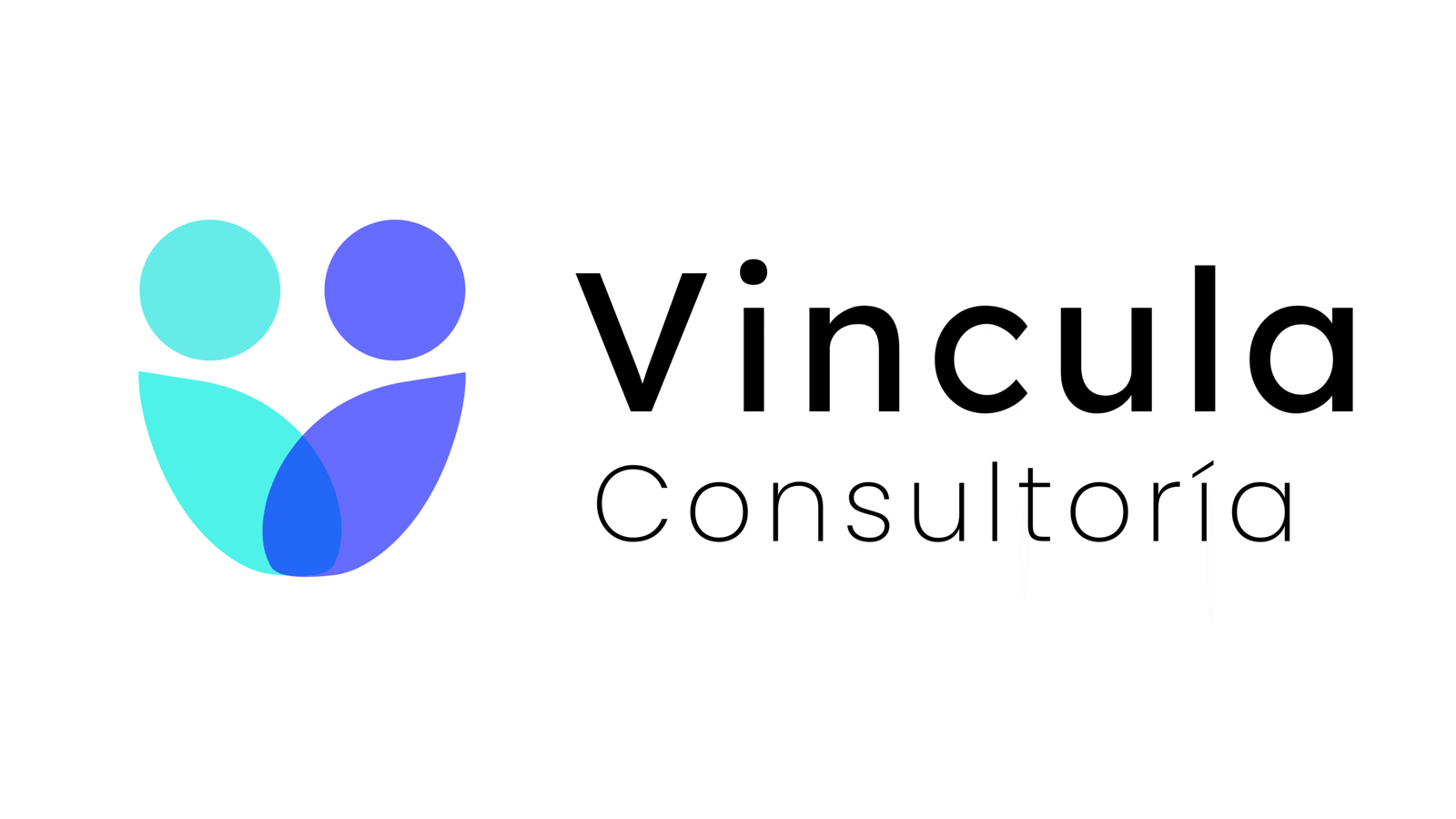 Vincula Consultoría